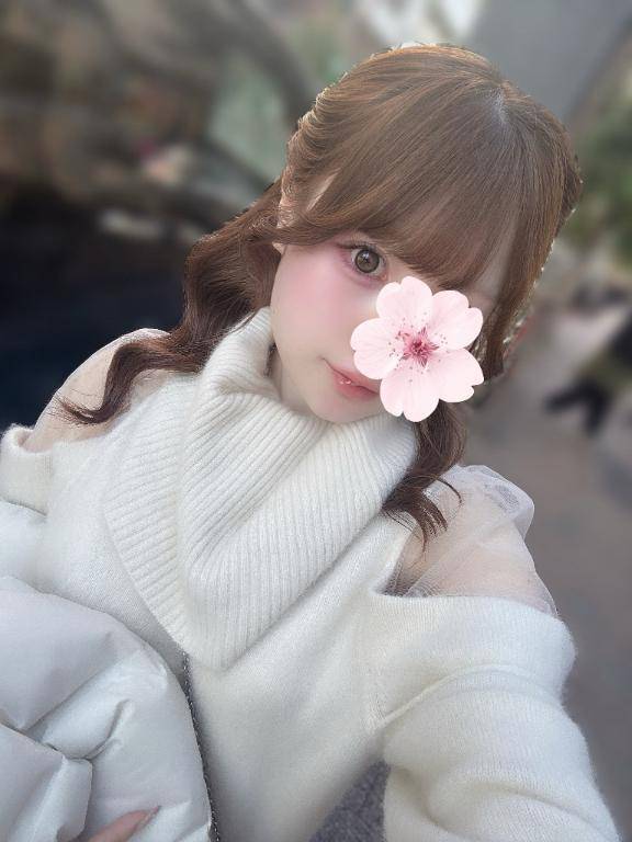 びっくりした😹