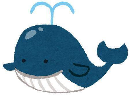 【重要】オプションについて