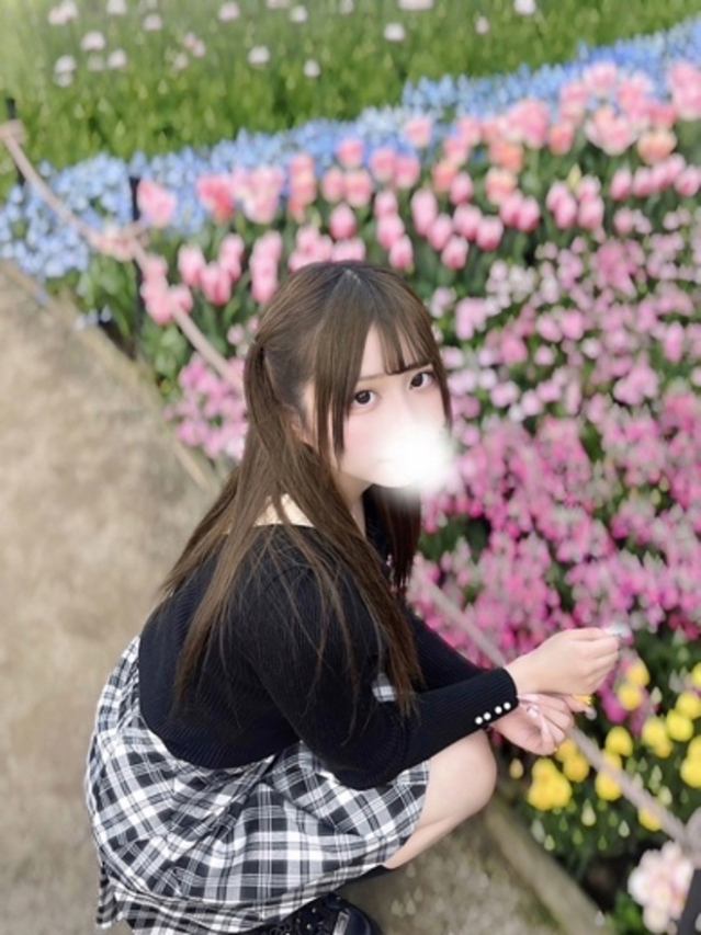 白咲ゆきの（ブルーバード）