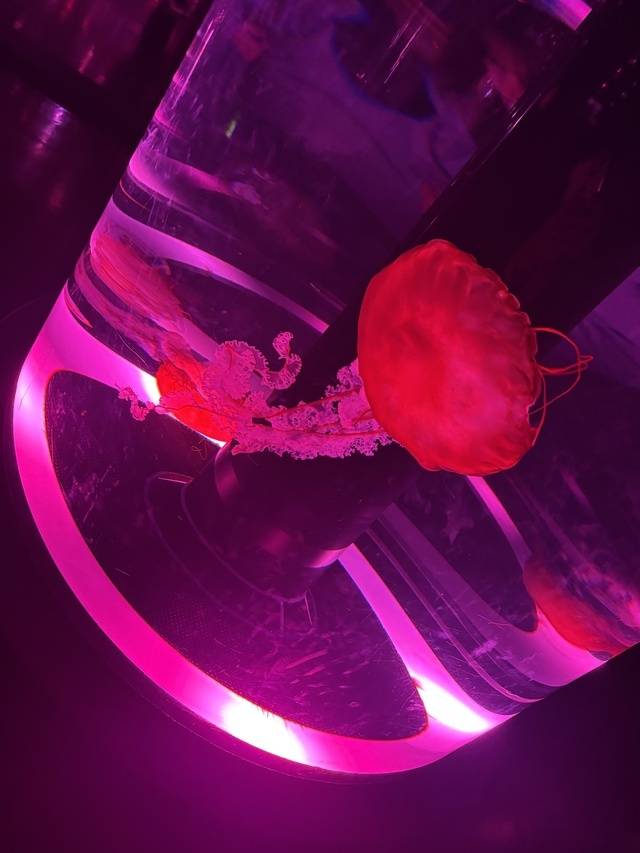 待機中です…ドキドキ✨