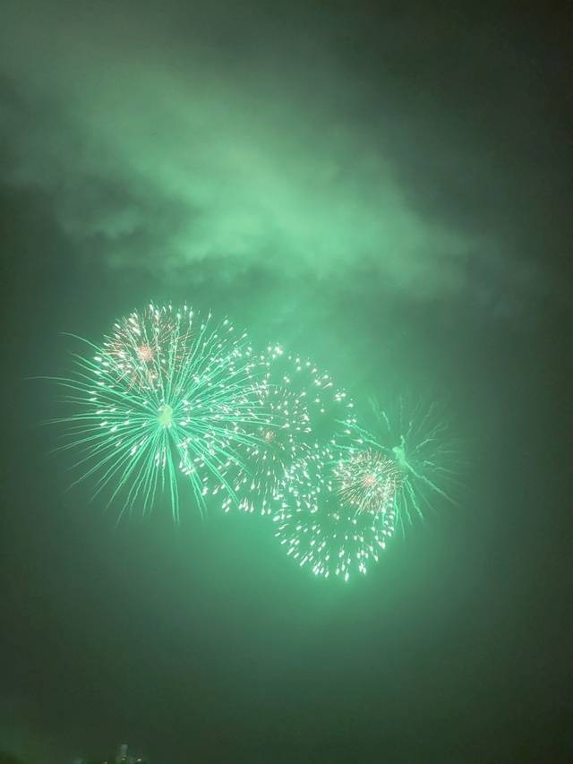 綺麗だった〜