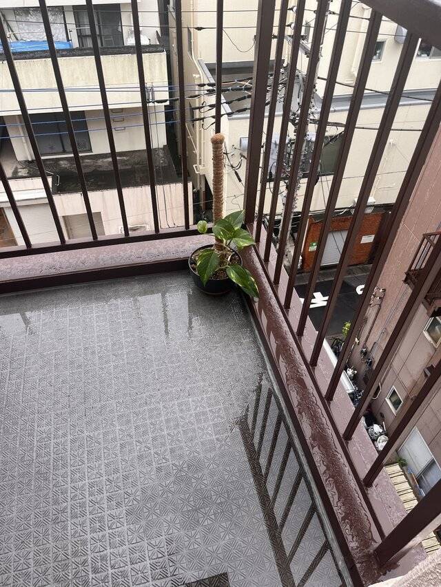 植物載せたら、おばちゃんっぽい🤣