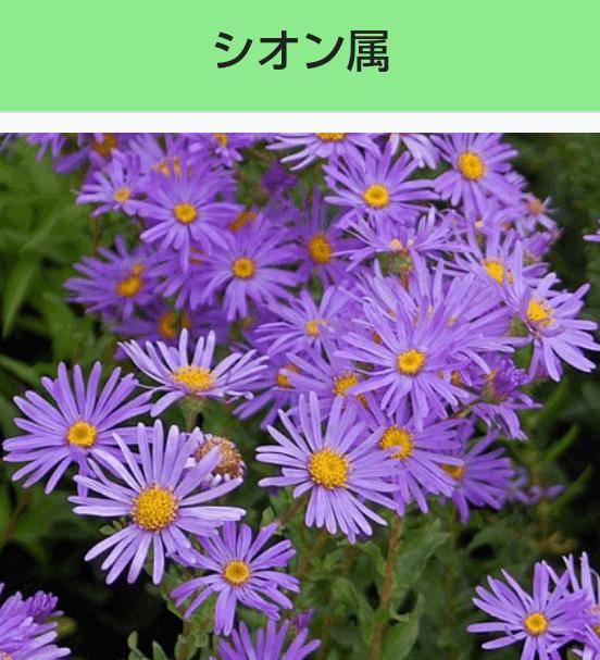 [お題]from:カオスモッドさん