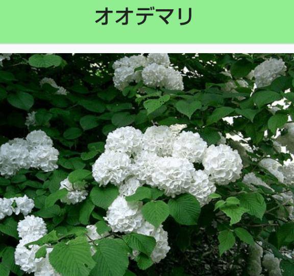 [お題]from:勇気がないさん