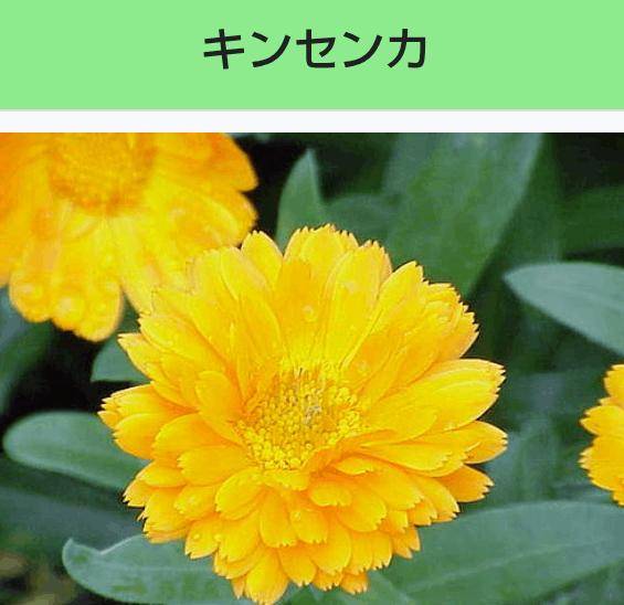 [お題]from:それを許さない社会さん
