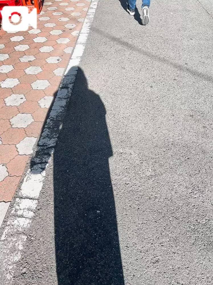 🦕₃🦕₃🦕₃