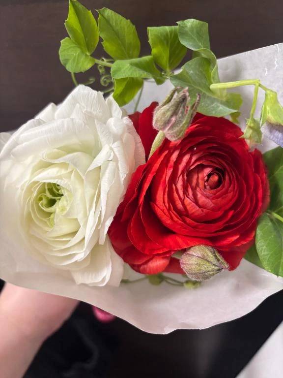 ありがとう✨✨