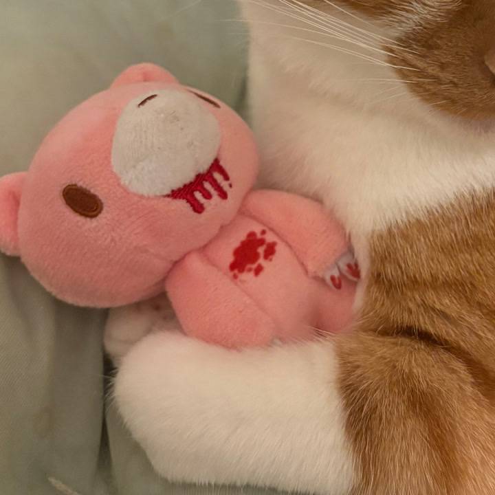 はい、にゃーん