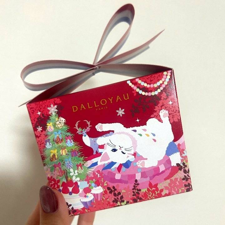 写真はマカロン🎶