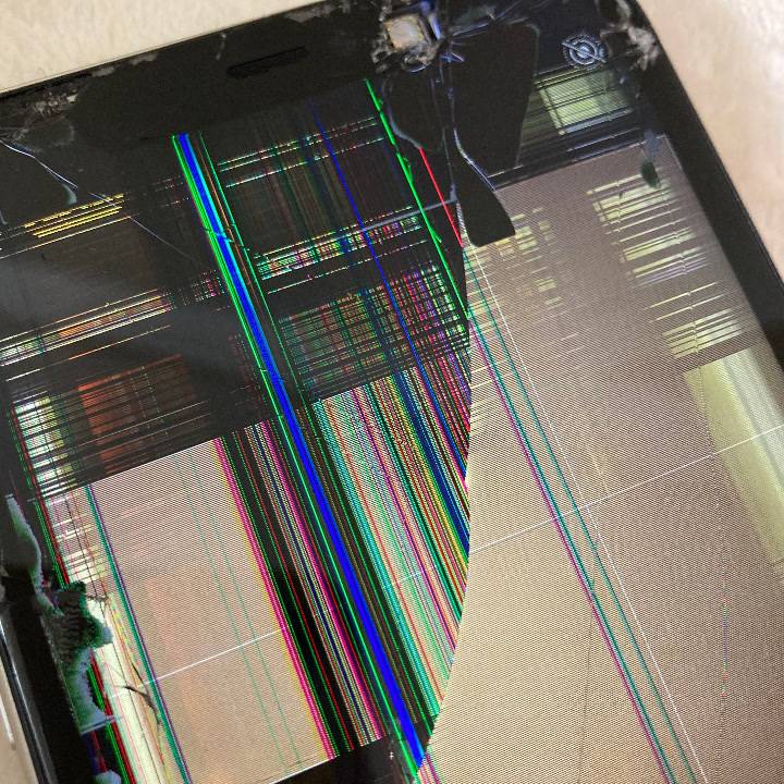 お久しぶりです＆ごめんなさい