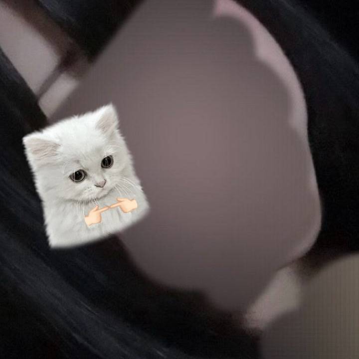 おはようございます☀️