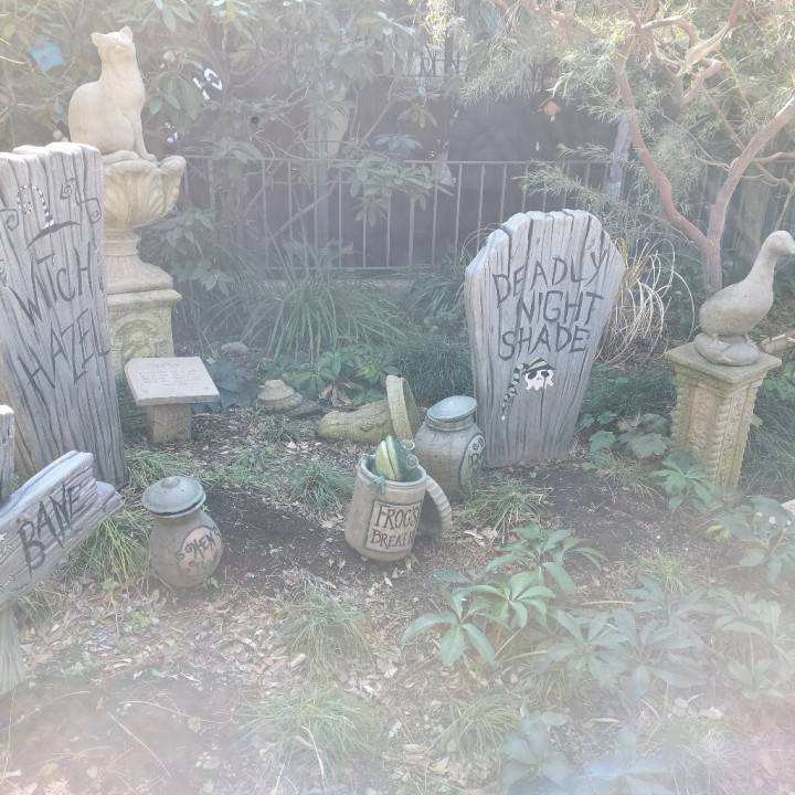 ご心配おかけしました💦💦