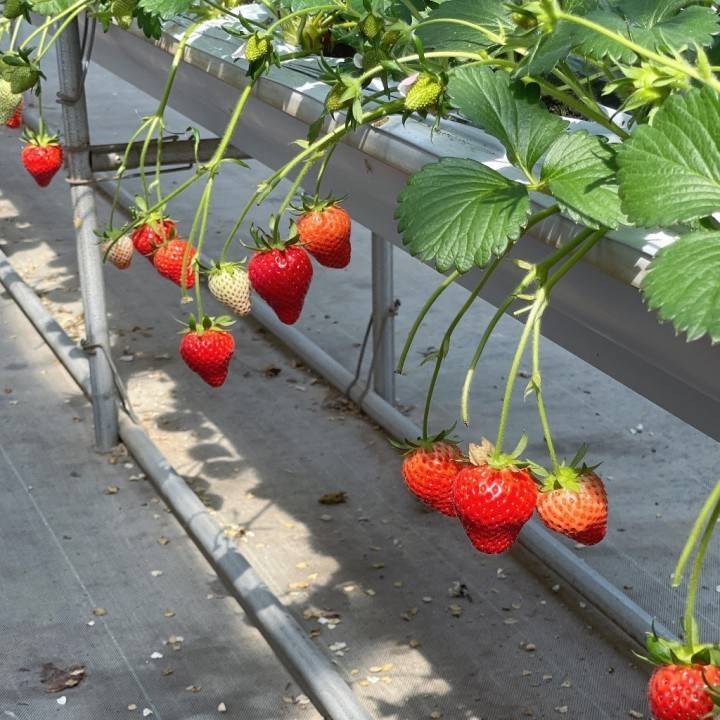 まってます‪‪❤︎‬