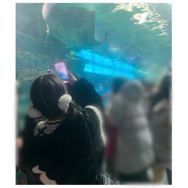 おさかなてんごく🐟