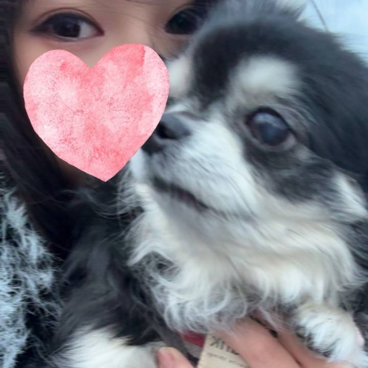 13日　16時からラストまでいます❣️
