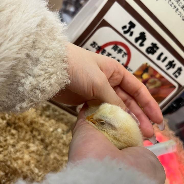 💗( ˘꒳˘ 愛 )