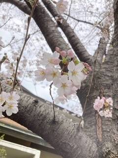 土曜日はいちばんいい？