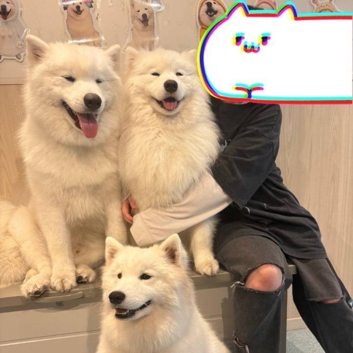 いろんなきもち