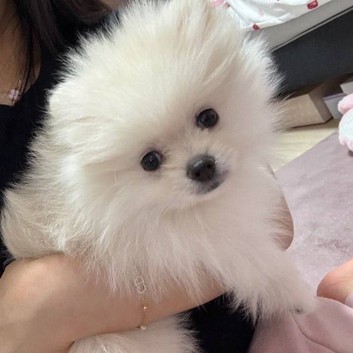 7日から