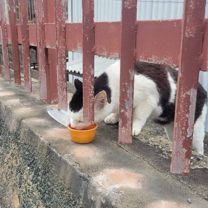 出勤してるよん