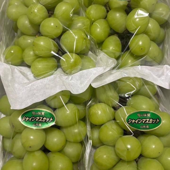 出勤🍇