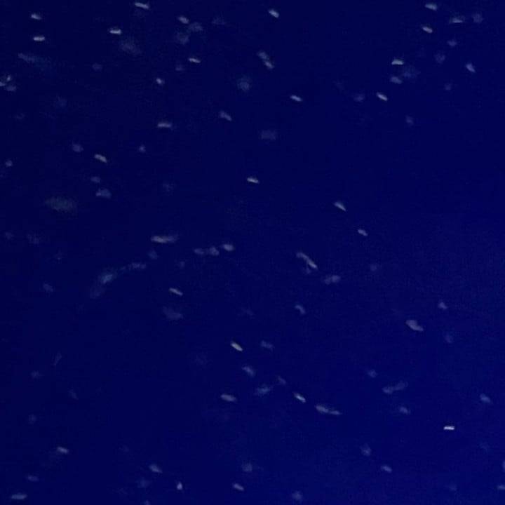 おひさしぶりです。