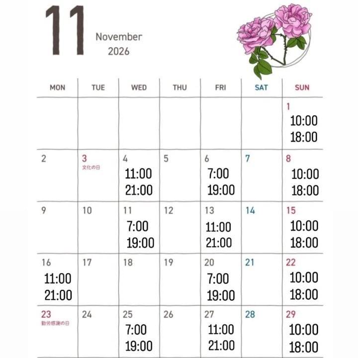 11月の予定🗓