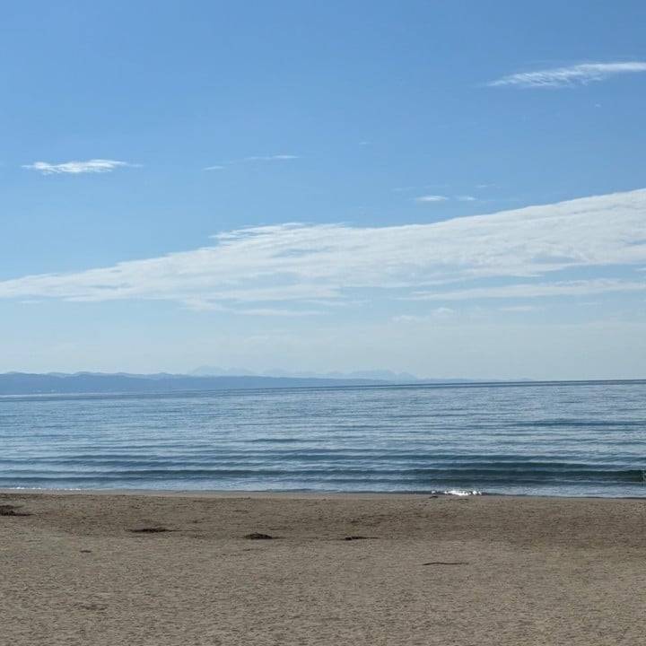 明日の出勤について