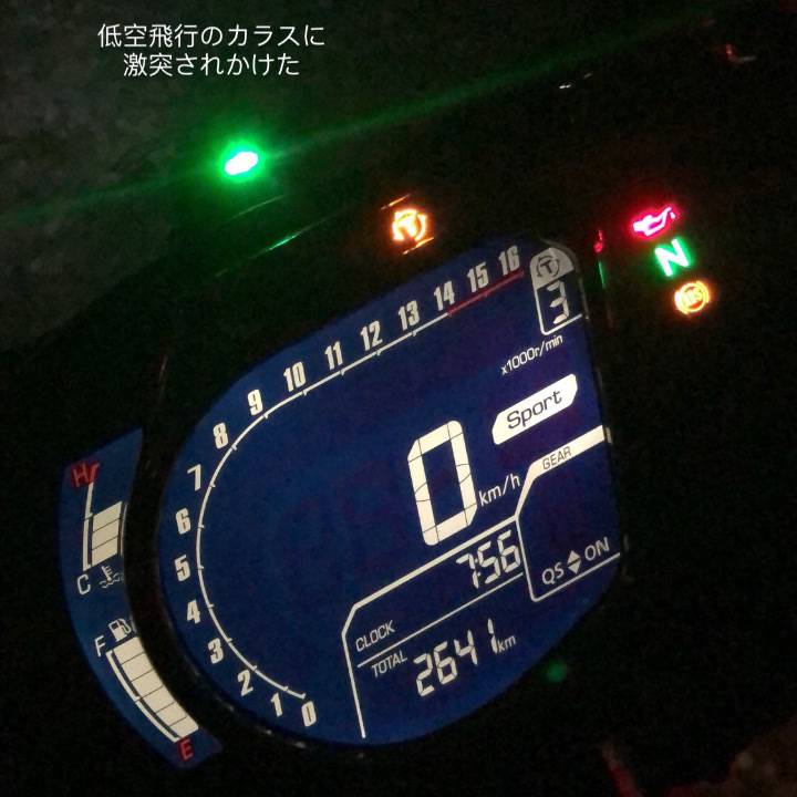 コスチューム