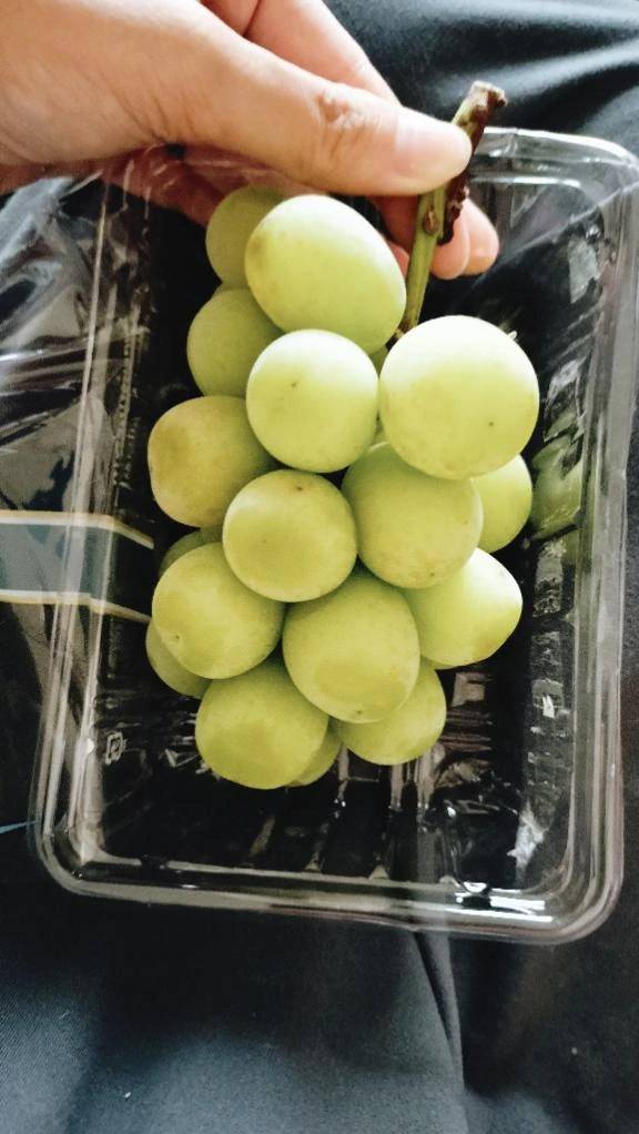 おそようございます🥱