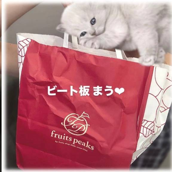 【ぷるぷる🍑】まう❤︎
