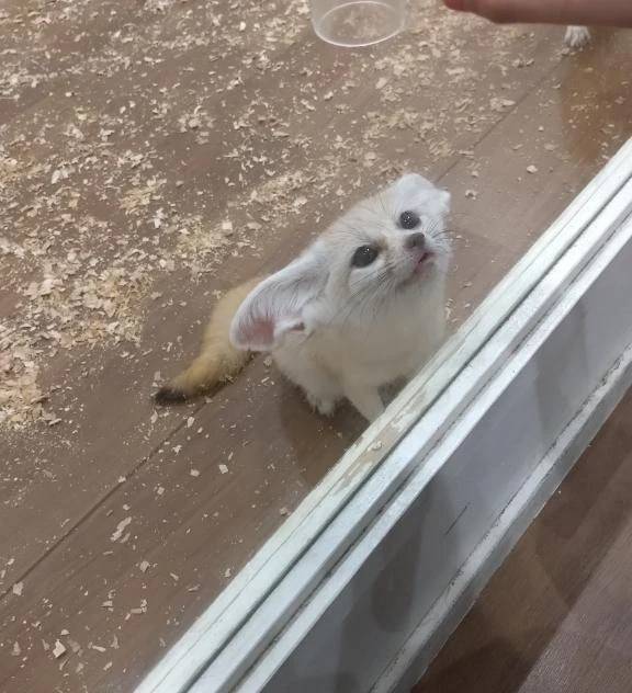 月曜日の朝だから