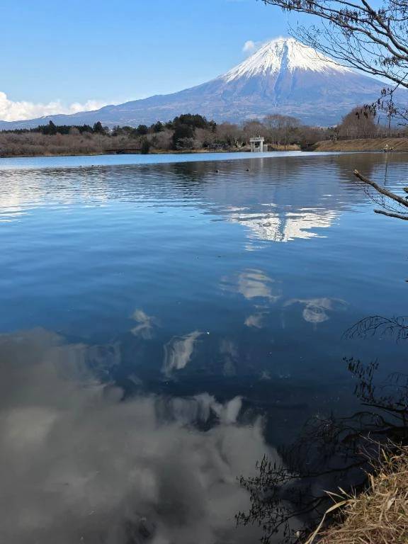 明けましておめでとうございます︎🌟