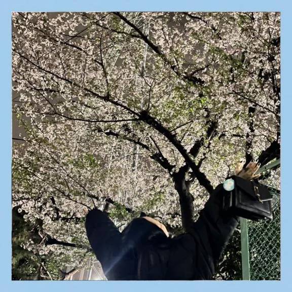さくら咲け〜🌸