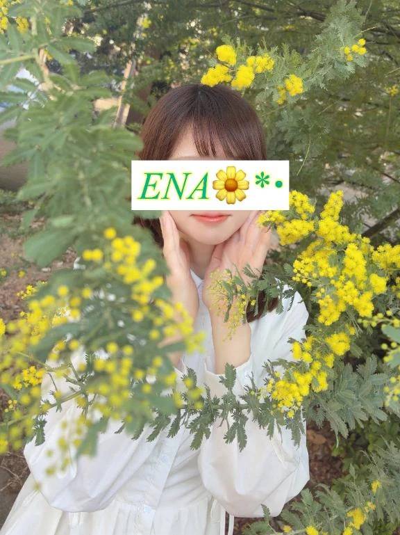 💌Nさまへ