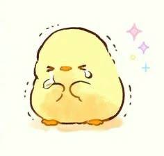 今日ほんとにごめんなさい😭