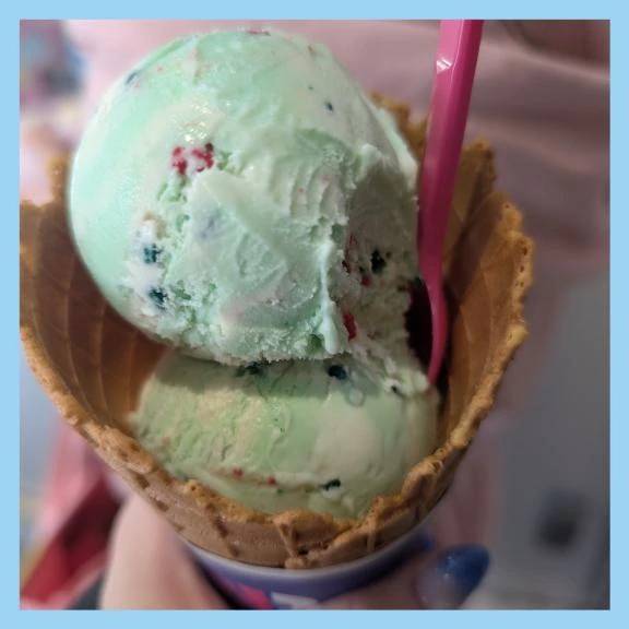 これ一択🍨✨