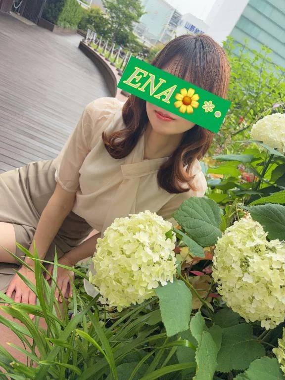 💌Tさまへ