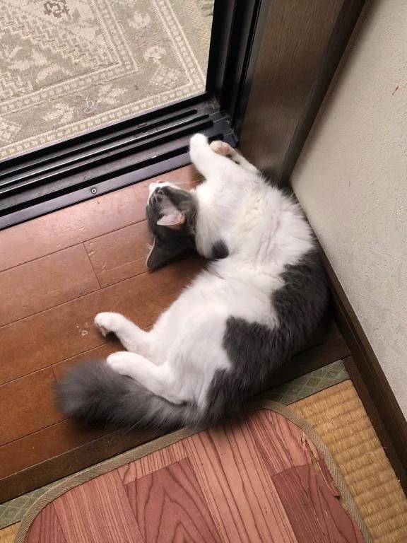 おっはぁあぁ☀️
