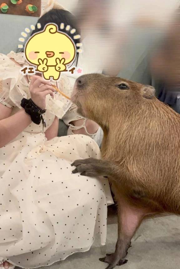 念願の！！！いきたかった
