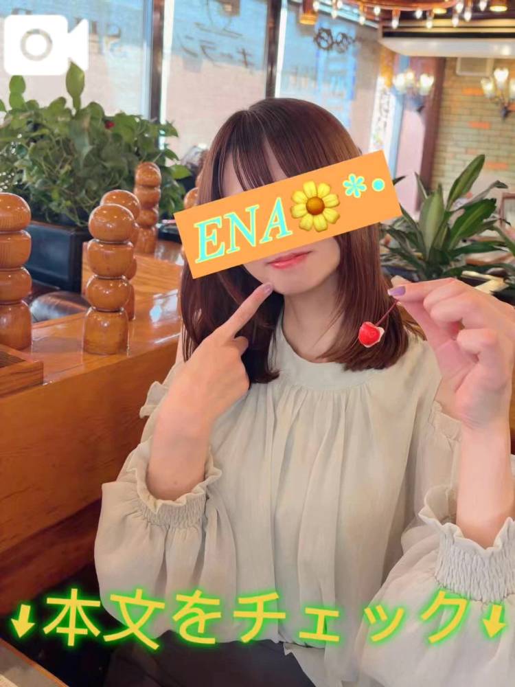 🗓直近のご案内状況🗓