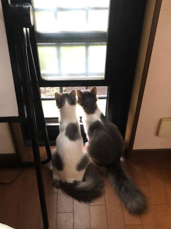 おはよぉ🐈‍⬛