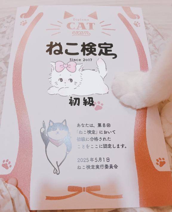 🐱