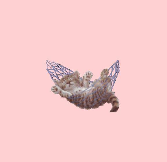 Aさん🩵オプションありがとう💞