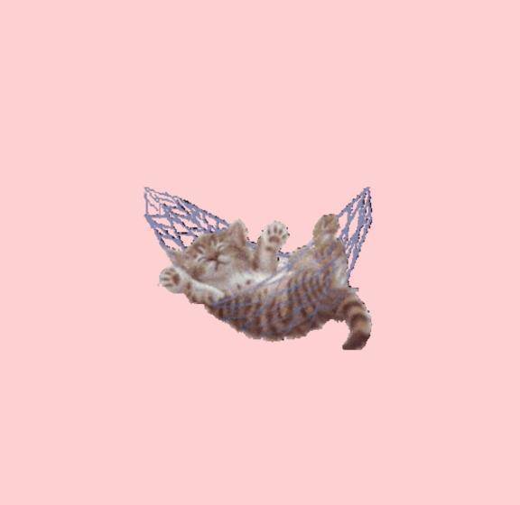 Aさん🩵オプションありがとう💞