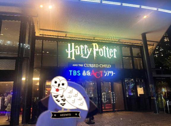 🌙* :ﾟ