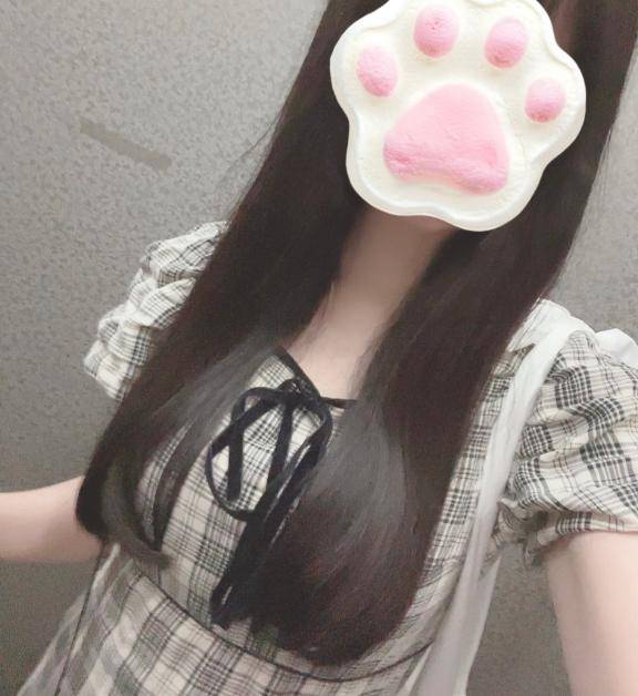 出勤しました🐈