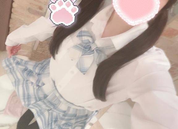 出勤しました🐈
