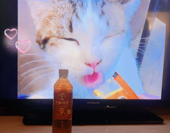 ありがとうございました🌸