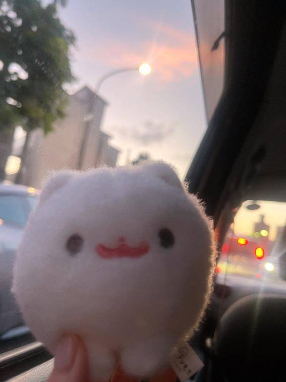 夕焼け❁¨̮
